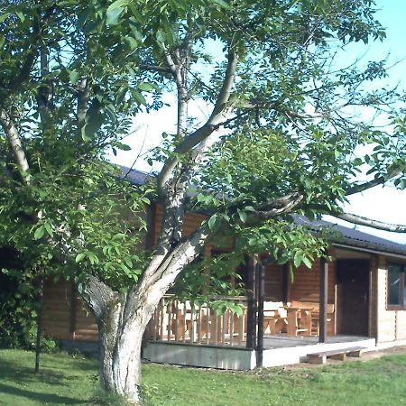 Vila Pod Orzechem Sanok Exteriér fotografie